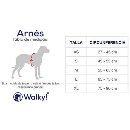 walky-arnes-deportivo-correa-flores