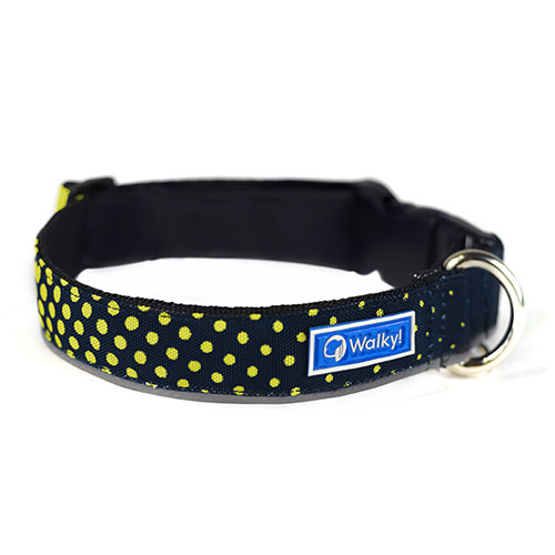 Walky - Collar Portaplaca Reflectivo - Azul/Verde