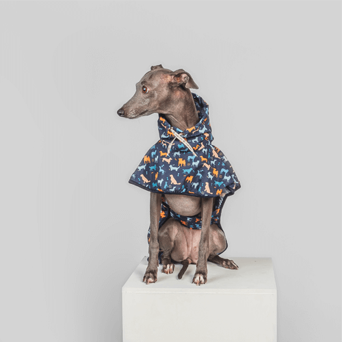 royal-pets-capa-de-lluvia-para-mascotas-azul