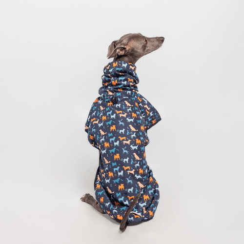 royal-pets-capa-de-lluvia-para-mascotas-azul
