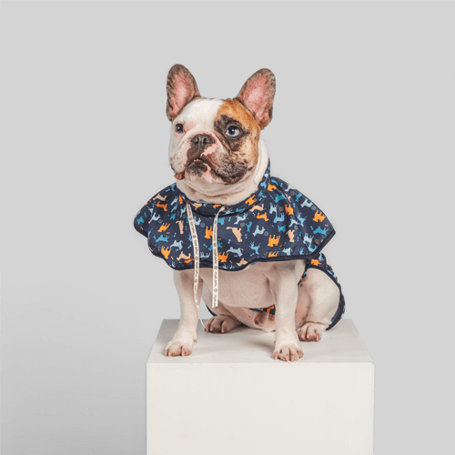 royal-pets-capa-de-lluvia-para-mascotas-azul