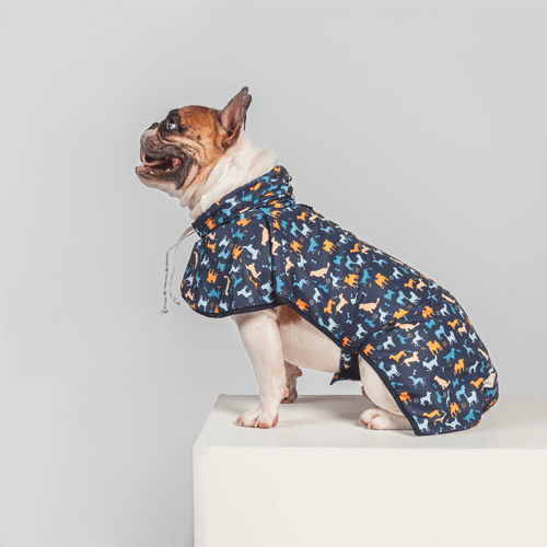 royal-pets-capa-de-lluvia-para-mascotas-azul