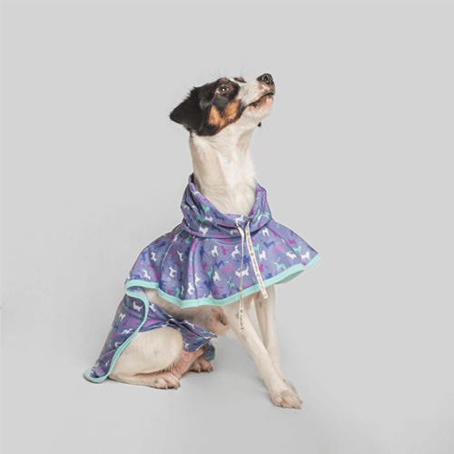 royal-pets-capa-de-lluvia-para-mascotas-morado