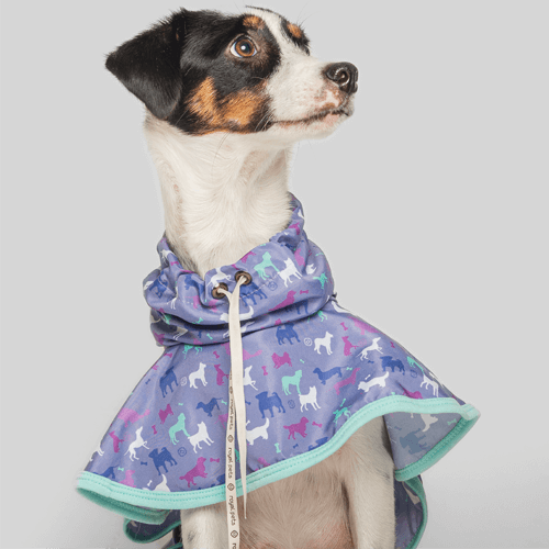 royal-pets-capa-de-lluvia-para-mascotas-morado