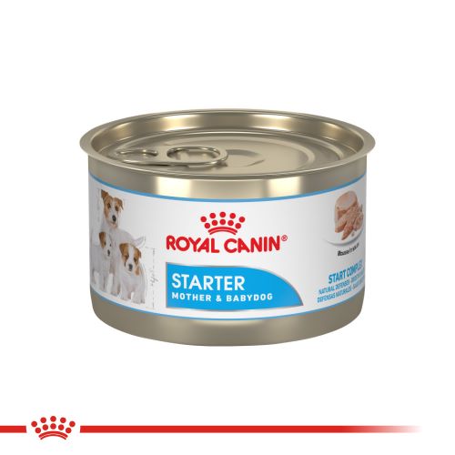 royal-canin-mini-starter-mb-dog