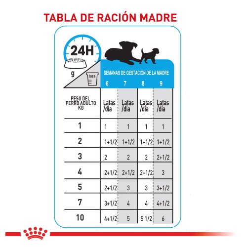 royal-canin-mini-starter-mb-dog