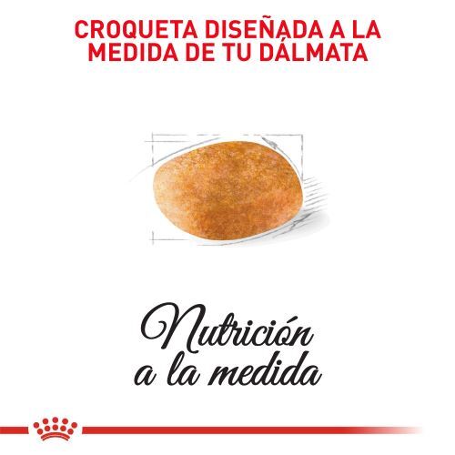 royal-canin-dalmata-adulto