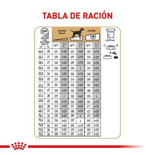 royal-canin-dalmata-adulto