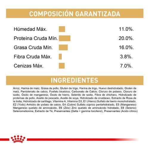 royal-canin-dalmata-adulto