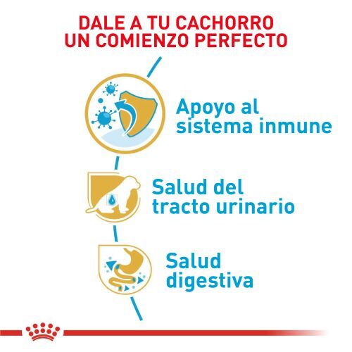 royal-canin-dalmata-puppy