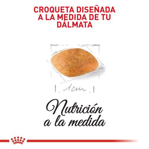 royal-canin-dalmata-puppy