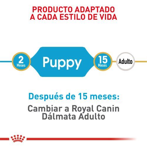 royal-canin-dalmata-puppy
