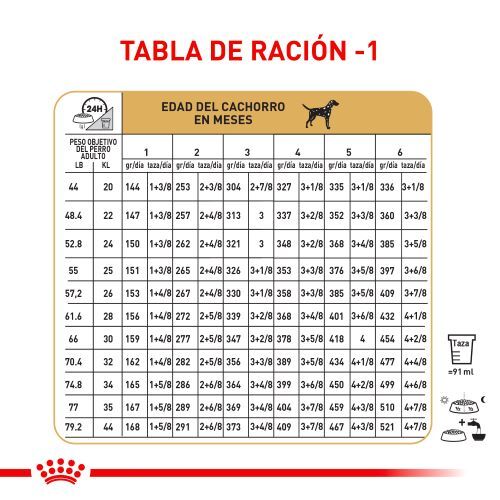 royal-canin-dalmata-puppy