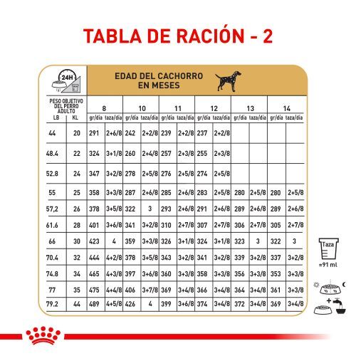 royal-canin-dalmata-puppy