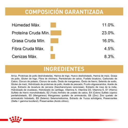 royal-canin-dalmata-puppy