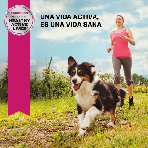 eukanuba-medium-adulto