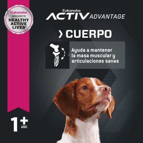 eukanuba-medium-adulto