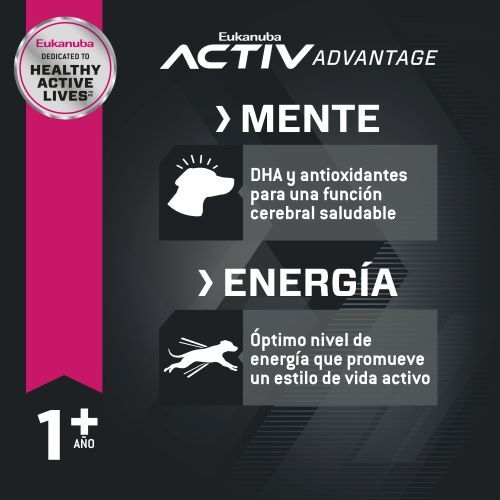 eukanuba-medium-adulto