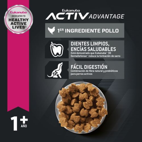 eukanuba-medium-adulto