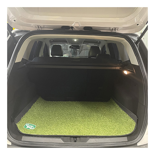 tapisol-tapete-car-pet