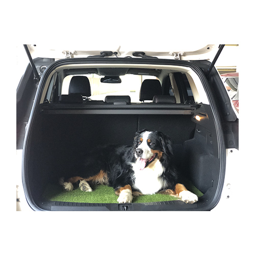 tapisol-tapete-car-pet