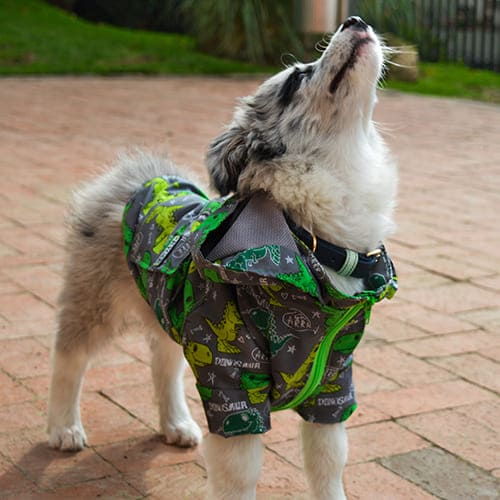 kygo-pets-chaqueta-dinosaurio-verde-entrega-en-4-dias-habiles