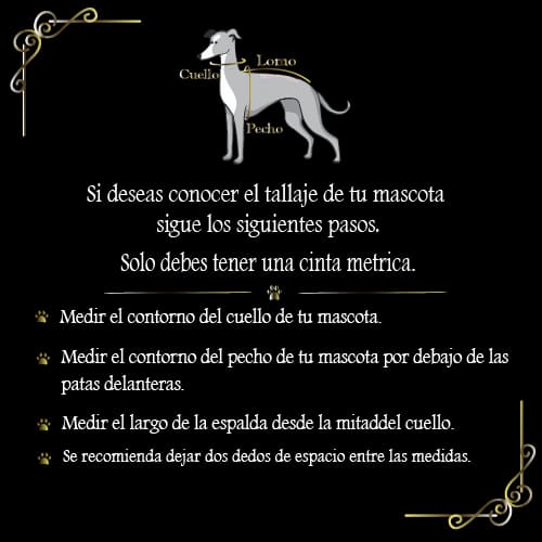 kygo-pets-chaqueta-dinosaurio-verde-entrega-en-4-dias-habiles