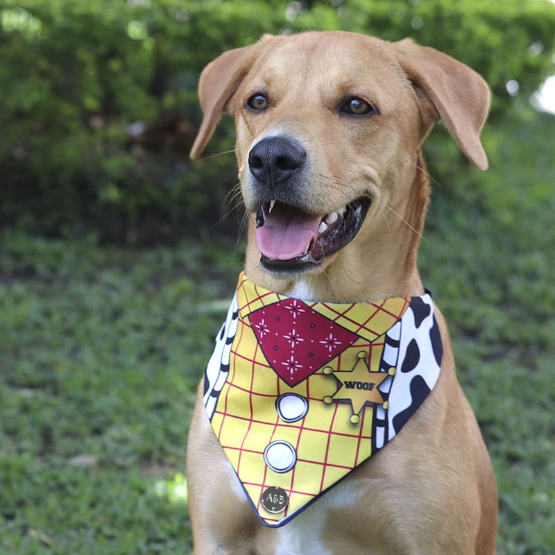 alana-bandana-bandana-woody