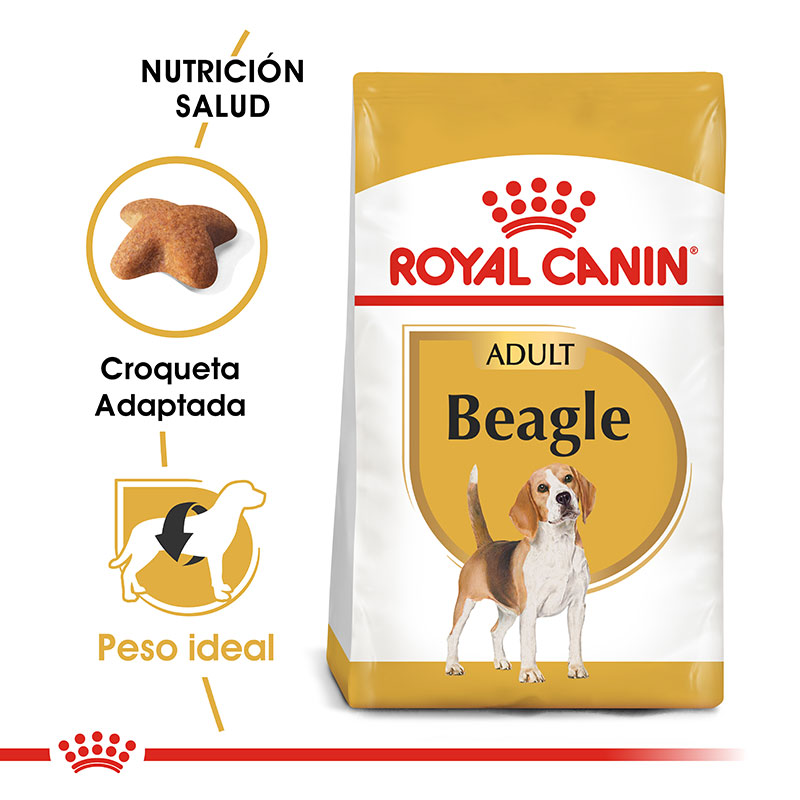 royal-canin-beagle-adulto