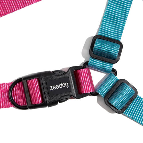 zeedog-arnes-hydra-soft-walk