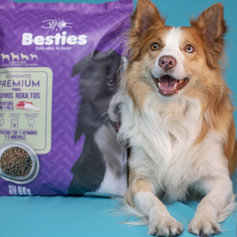 besties-alimento-perros-adultos-sabor-carne-y-pollo