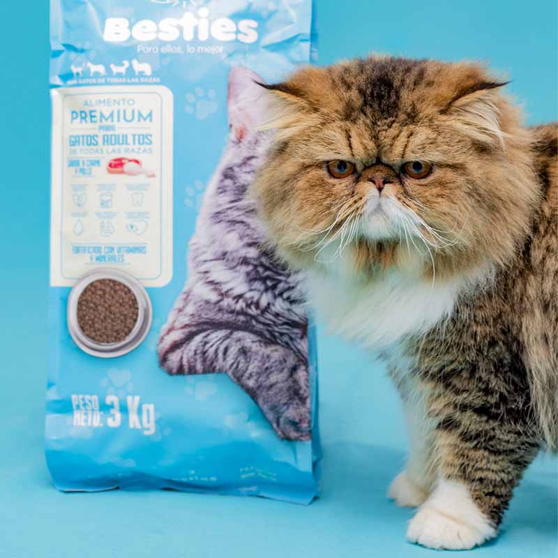 besties-alimento-gatos-sabor-carne-y-pollo
