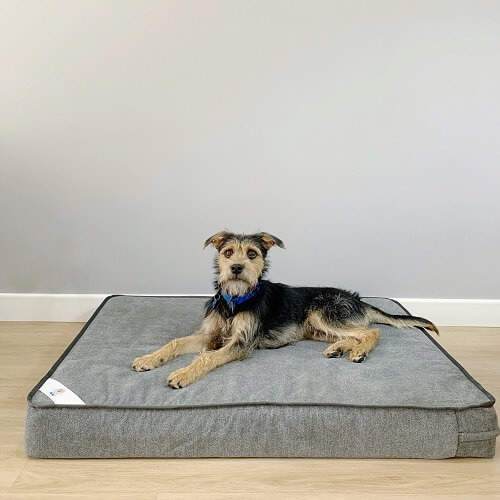 pet-me-colchon-ortopedico-alta-densidad-extra-large