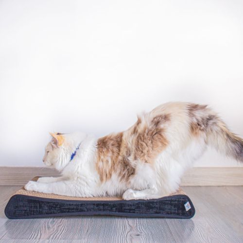 Marca Gato  -  Rascador Quesito ** Entrega en 4 días hábiles **