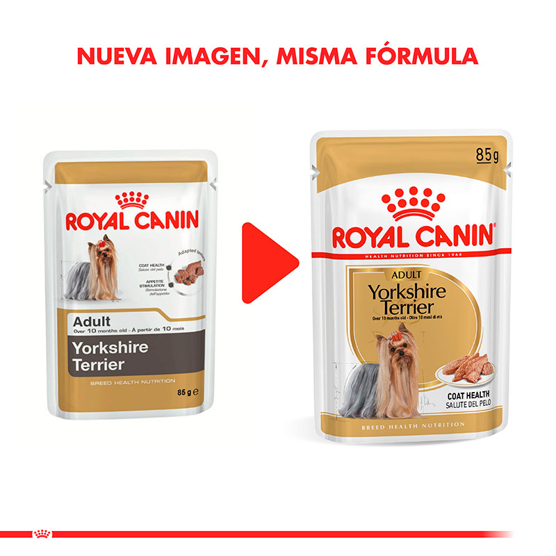 royal-canin-yorkshire-terrier-pouch