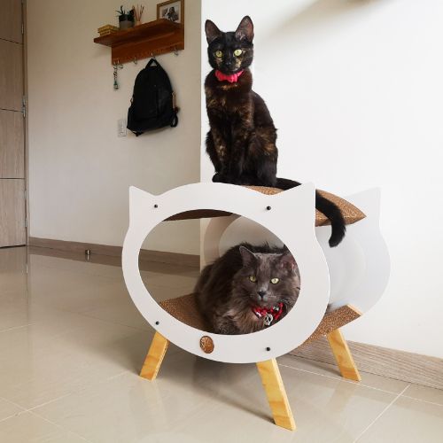 marca-gato-cama-rascador-boston-entrega-en-4-dias-habiles