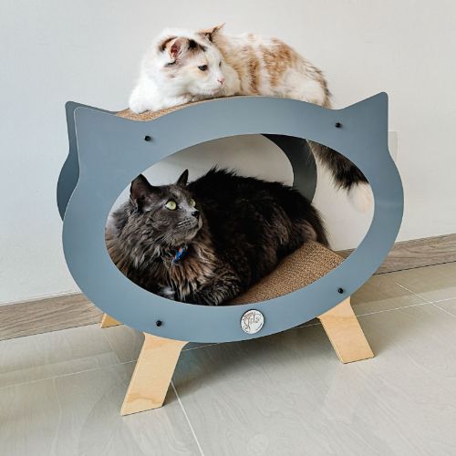marca-gato-cama-rascador-boston-entrega-en-4-dias-habiles