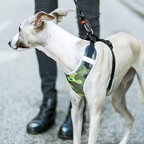 ferplast-pechera-perro-nikita-fashion-verde-entrega-en-3-dias-habiles