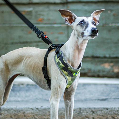ferplast-pechera-perro-nikita-fashion-verde-entrega-en-3-dias-habiles