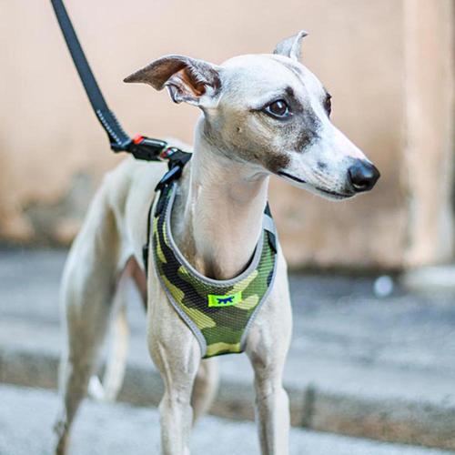 ferplast-pechera-perro-nikita-fashion-verde-entrega-en-3-dias-habiles