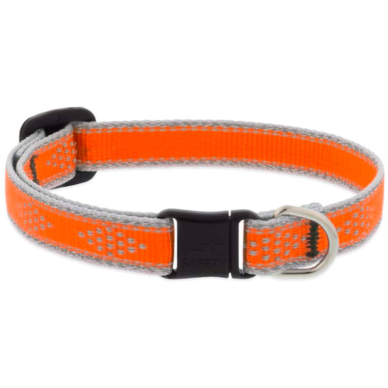 lupine-pet-collar-con-cascabel-neon