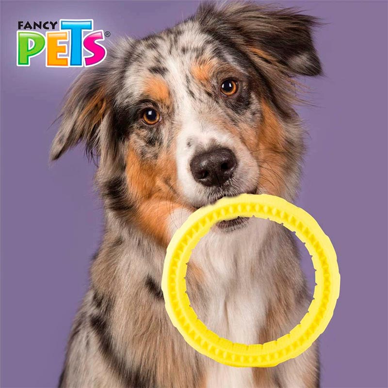fancy-pets-aro-masticable-chew