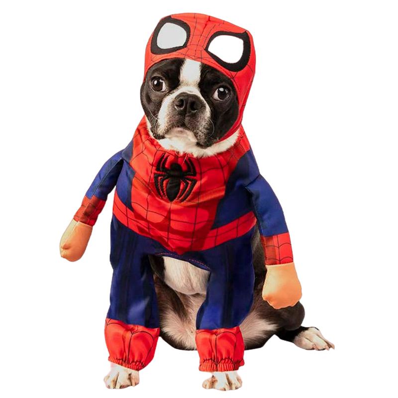 disfraces-americanos-pet-walking-spider-man