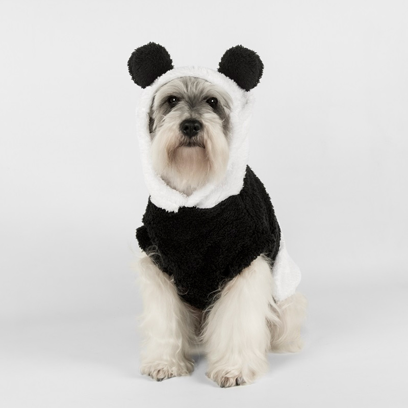 valentin-for-pets-disfraz-oso-panda