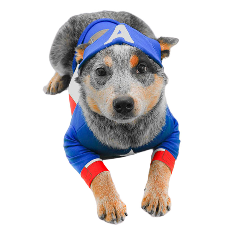 cachivaques-disfraz-capitan-america-mascota-marvel