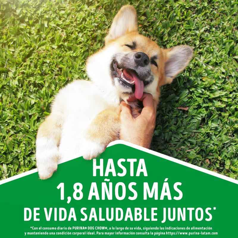 dog-chow-adultos-minis-y-pequenos-con-cordero