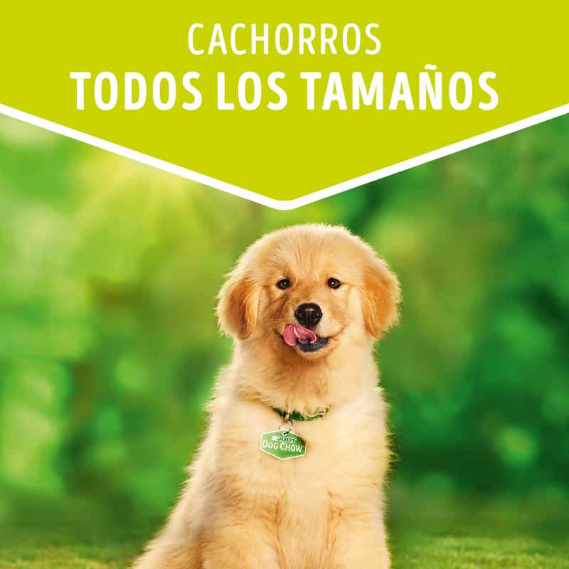 dog-chow-cachorro-todos-los-tamano-con-pollo