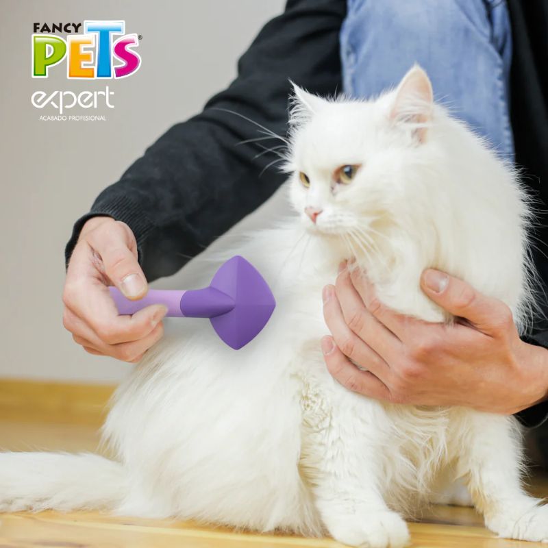 fancy-pets-carda-expert