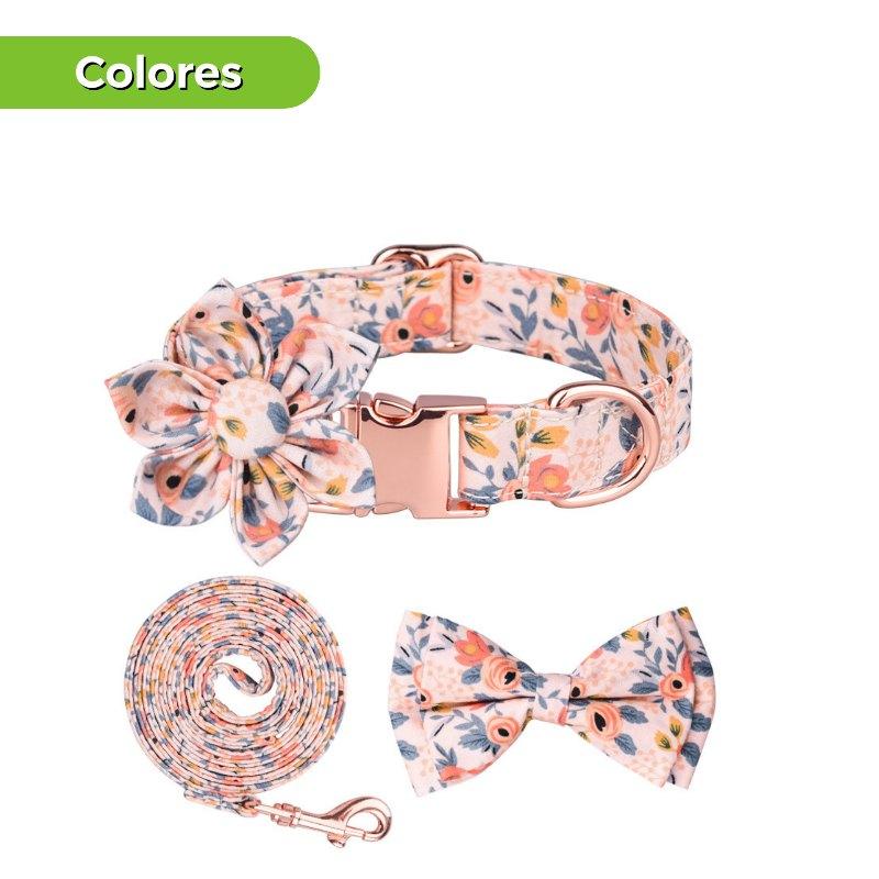 calabaza-pets-set-collar-mono-y-trailla-floral