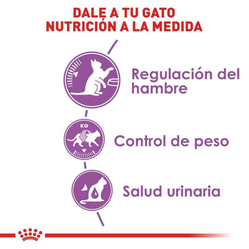 royal-canin-alimento-control-de-apetito-gato-esterilizado